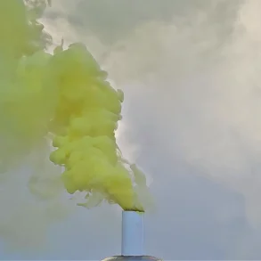 Rgpatron 60 g (gul rg)