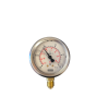 Manometer 100 1/2